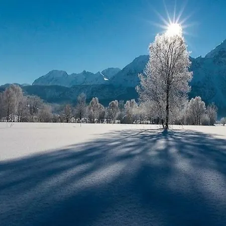 Apartment Apartmenthaus Lärchenhof *