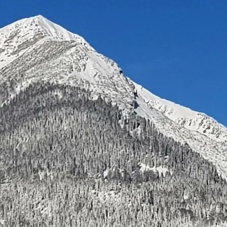 Apartmenthaus Lärchenhof Apartment *